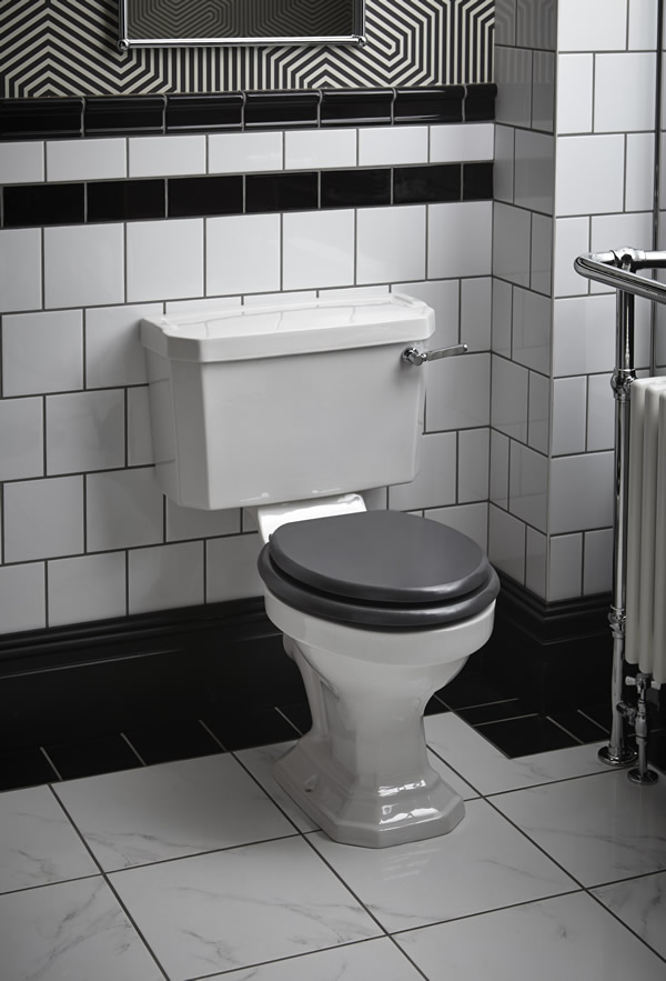 Toilet and Bidet Buying Guide